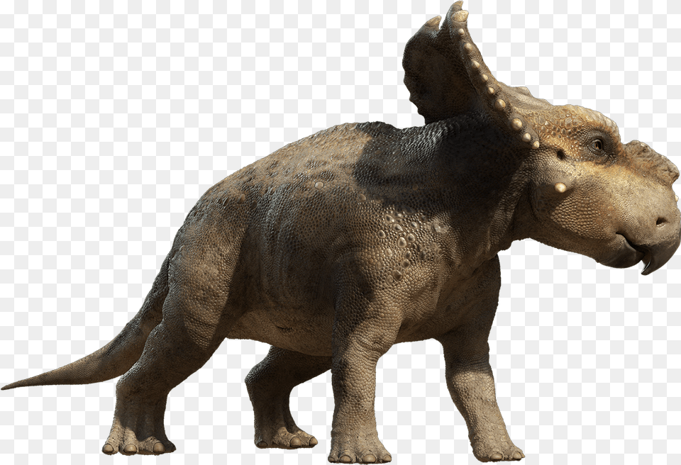 Dinosaur Scowler Pachyrhinosaurus Walking With Dinosaurs, Animal, Reptile, T-rex Free Png Download