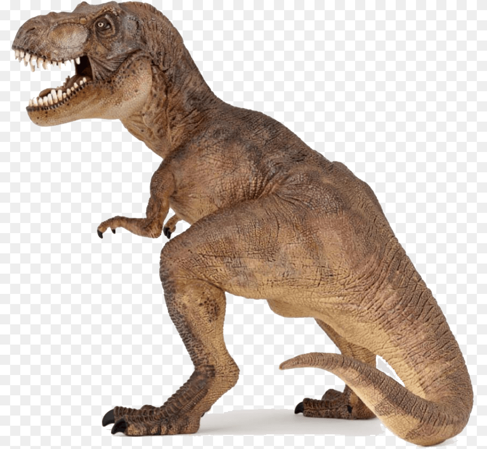 Dinosaur Side, Animal, Reptile, T-rex Free Png