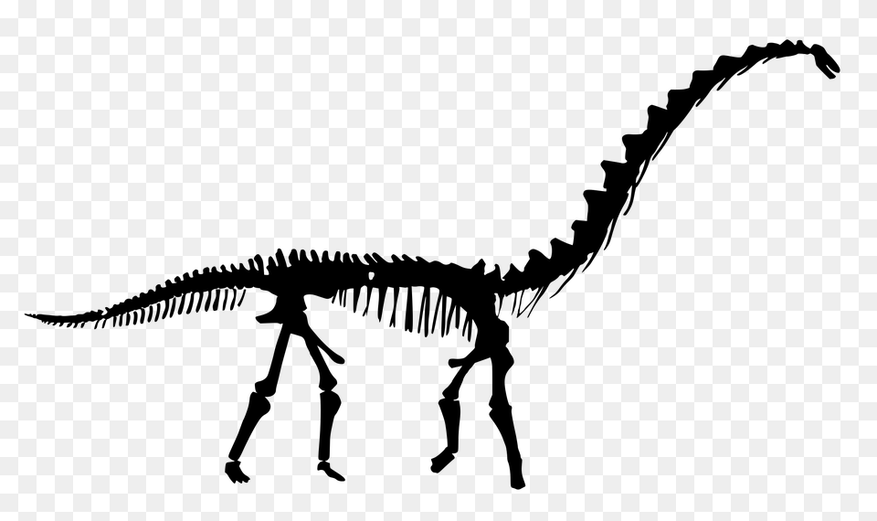 Dinosaur Silhouette Clipart With No Background, Gray Free Png Download