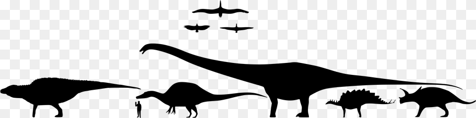 Dinosaur Silhouette Scale, Gray Free Transparent Png