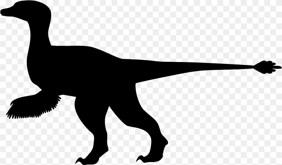 Dinosaur Silhouette Z8rtsc Clipart Free Dinosaur Silhouettes Transparent, Animal, Reptile Png