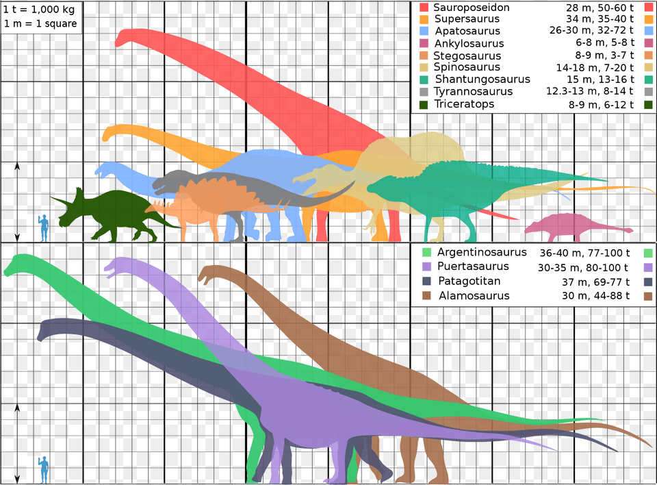 Dinosaur Size Comparison Biggest, Animal, Reptile, Person, Kangaroo Png