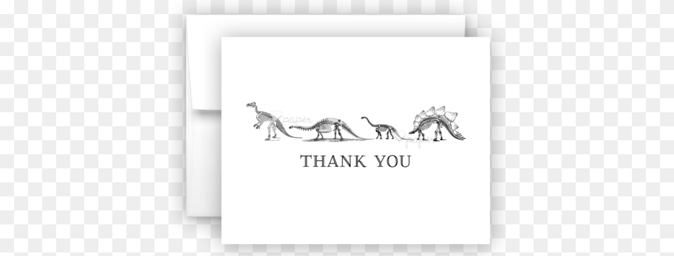 Dinosaur Skeleton Bones Thank You Cards Note Card Stationery Stationery, Animal, Reptile, Mammal Free Png Download