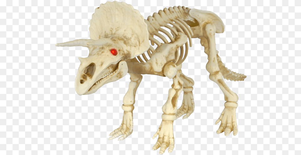 Dinosaur Skeleton Halloween Decoration, Animal, Giraffe, Mammal, Wildlife Png