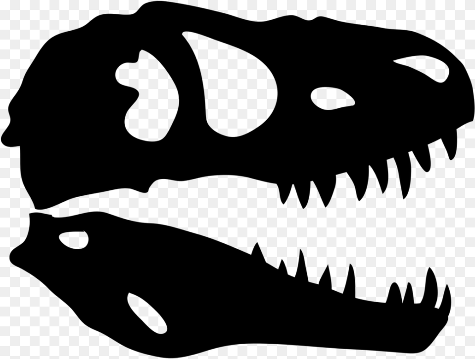 Dinosaur Skull X Ray T Rex Skull Vector, Gray Png Image