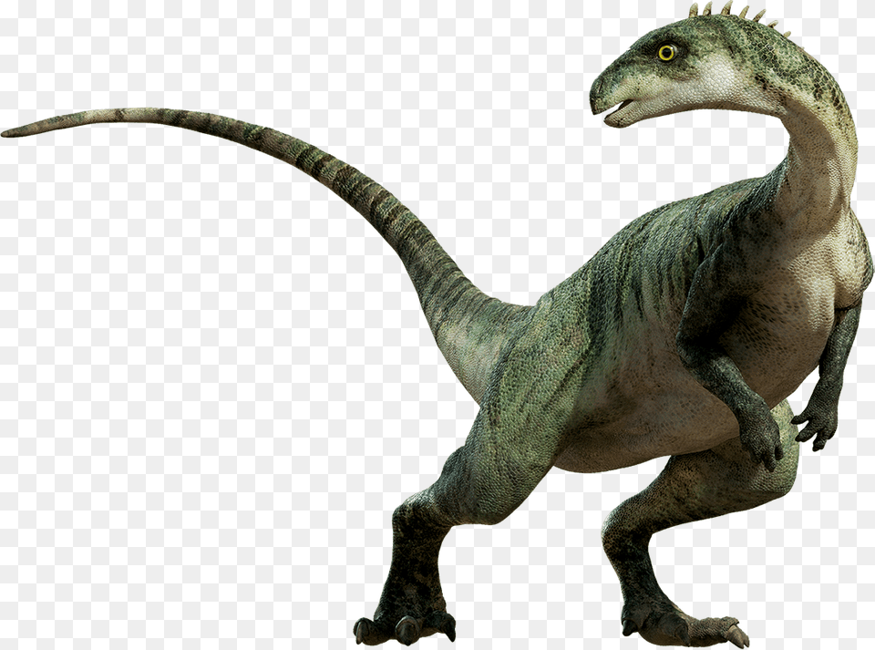 Dinosaur Standing, Animal, Reptile, T-rex Png Image