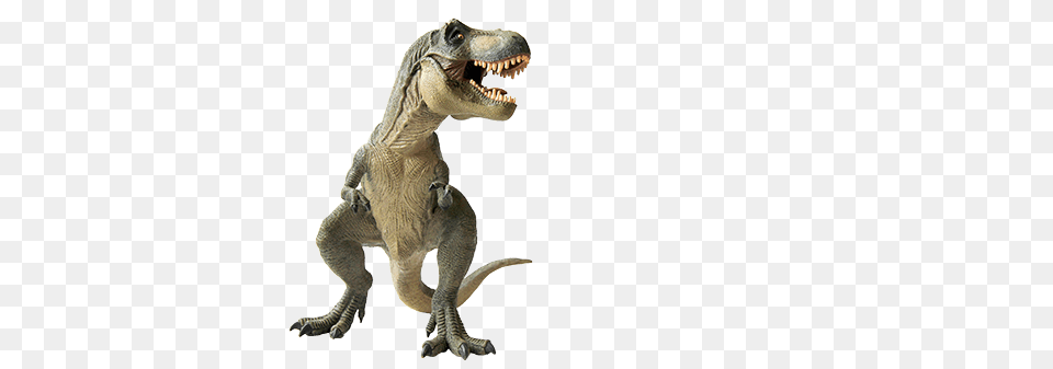 Dinosaur Standing Left, Animal, Reptile, T-rex Free Transparent Png