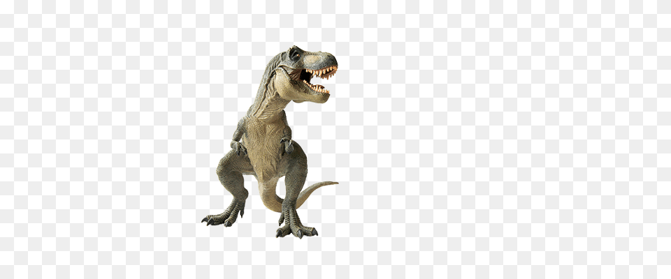 Dinosaur Standing Left Animal, Reptile, T-rex Free Transparent Png
