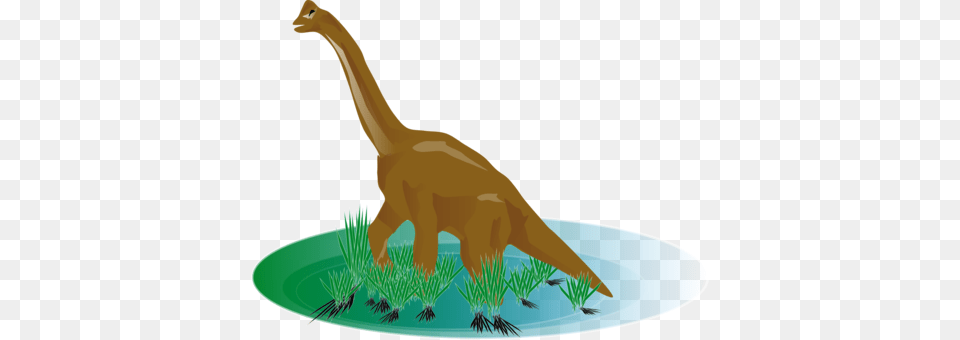 Dinosaur Stegosaurus Tyrannosaurus Download Jurassic, Animal, Reptile, T-rex Png Image