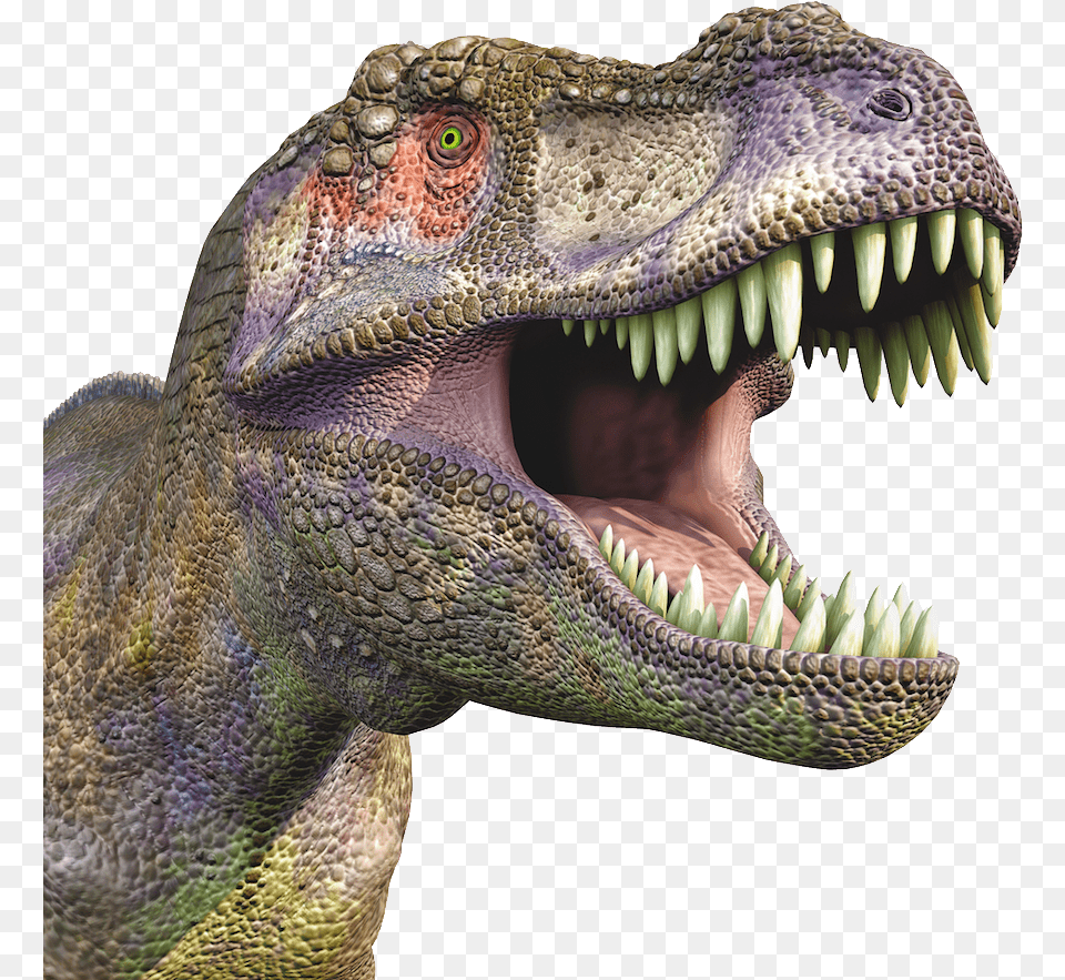 Dinosaur T Rex Head Background, Animal, Reptile, T-rex Png
