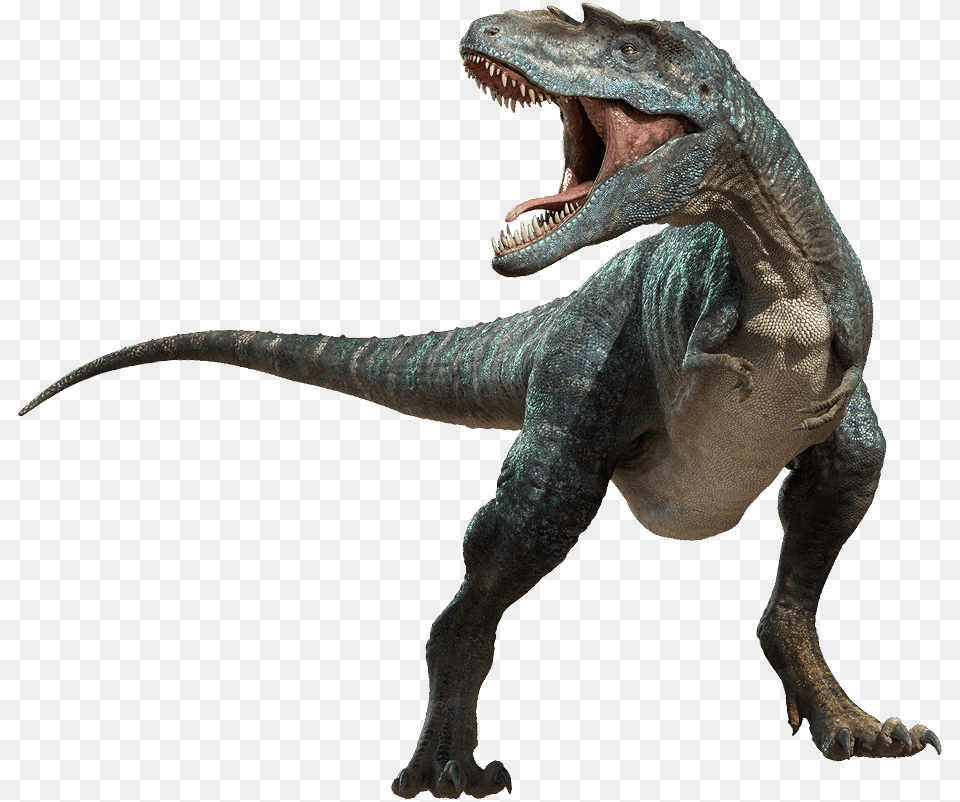 Dinosaur Transparent Background, Animal, Reptile, T-rex Free Png