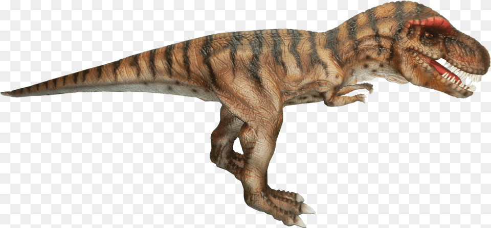 Dinosaur Transparent Background, Animal, Reptile, T-rex Free Png Download