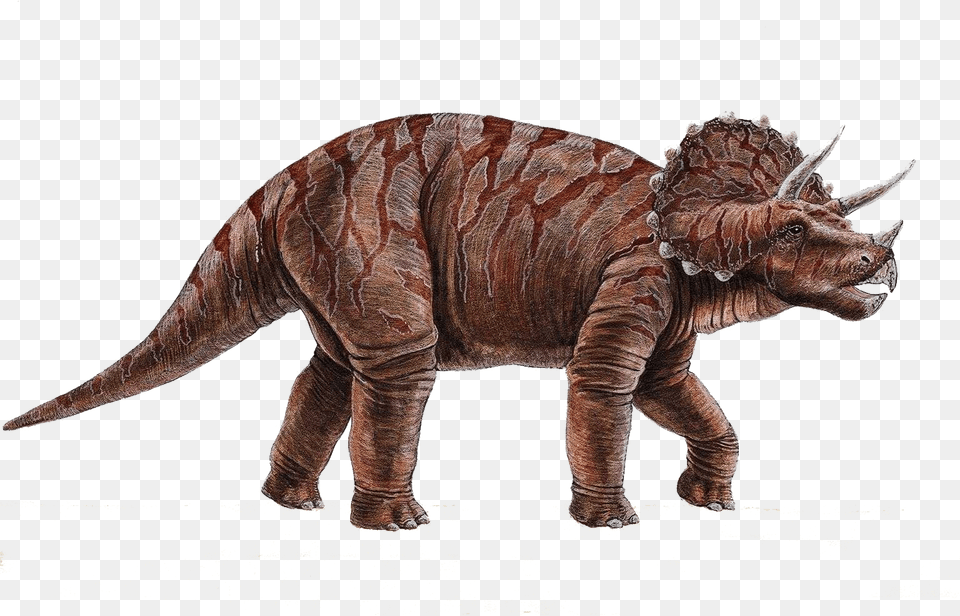 Dinosaur Transparent Background Dinosaur Free Png