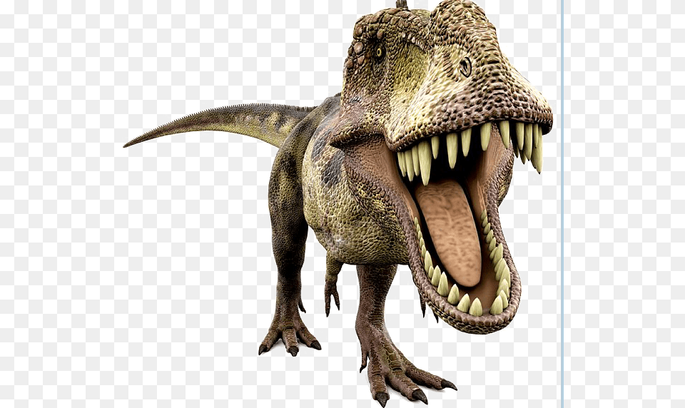 Dinosaur Transparent Dinosaurus T Rex, Animal, Reptile, T-rex Png Image