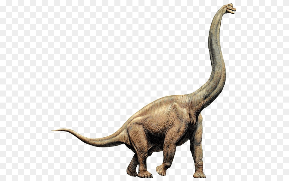 Dinosaur Transparent Image Arts, Animal, Reptile, T-rex Free Png Download