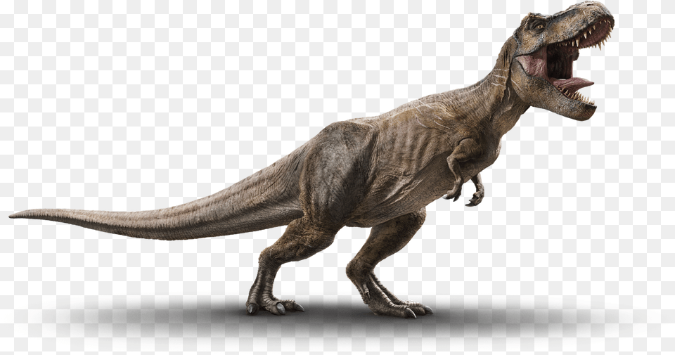 Dinosaur Transparent Image Jurassic World Fallen Kingdom T Rex, Animal, Reptile, T-rex Free Png