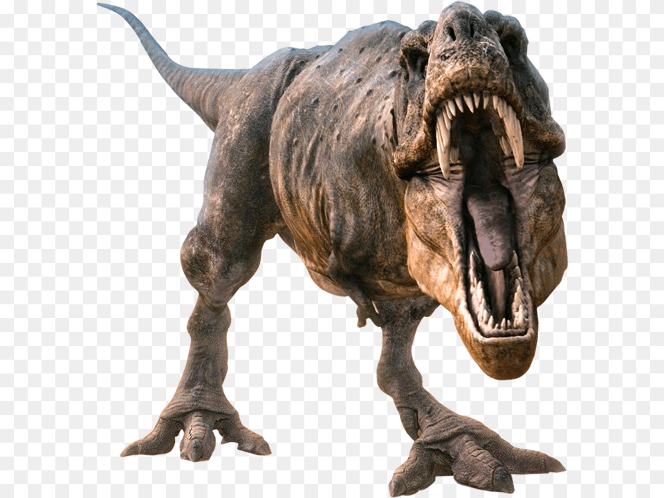 Dinosaur Transparent Image Transparent Dinosaur, Animal, Reptile, T-rex Free Png