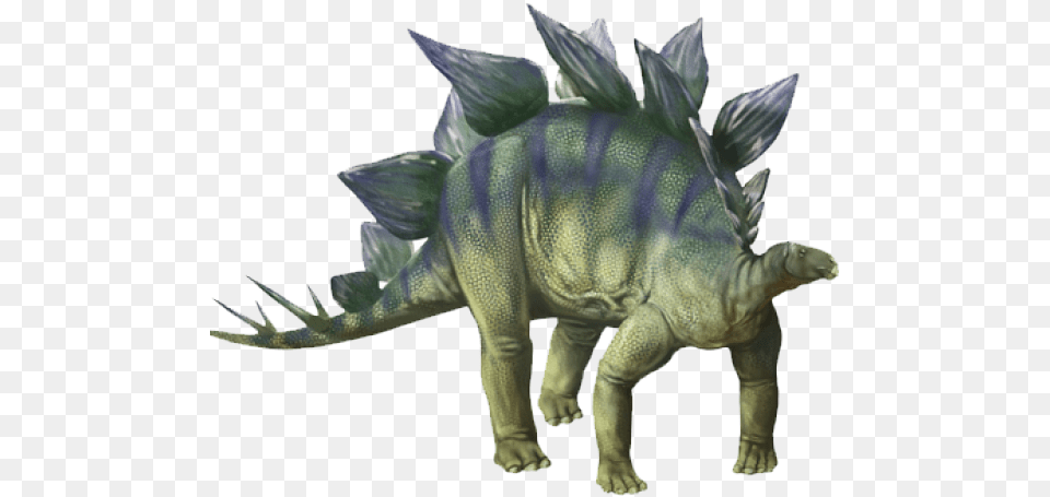 Dinosaur Transparent Images, Animal, Reptile, Sea Life, Fish Png Image