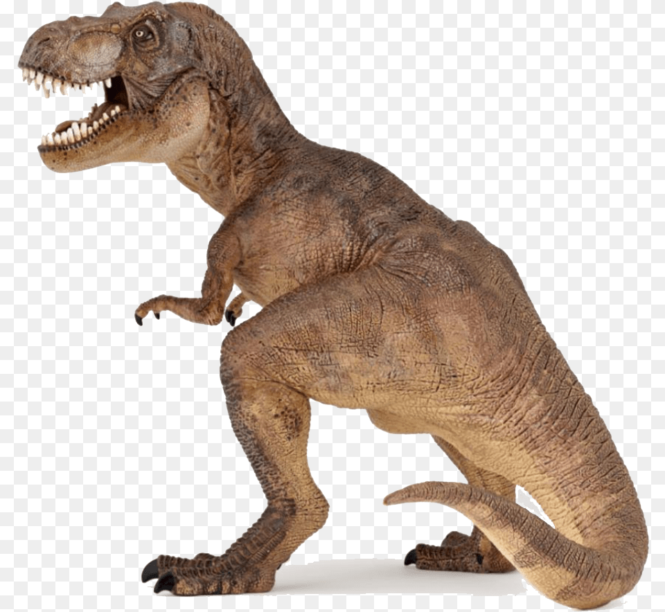 Dinosaur Transparent Images Colour Of T Rex, Animal, Reptile, T-rex Png Image