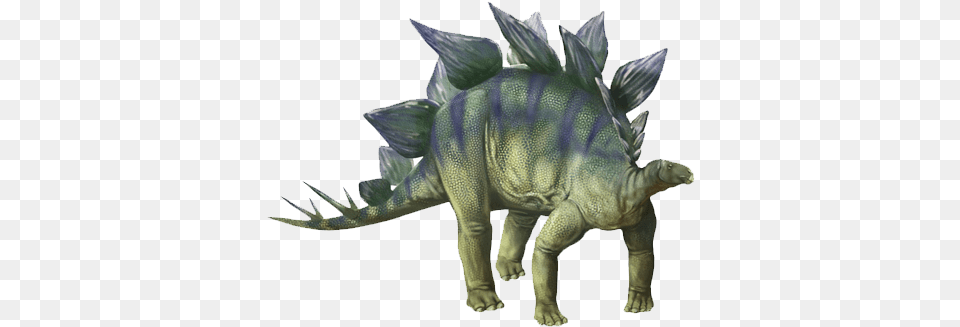 Dinosaur Transparent Images Dinosaur, Animal, Reptile Png Image