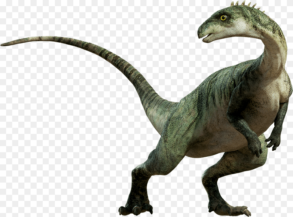 Dinosaur Transparent Images Dinosaurs Transparent, Animal, Reptile, T-rex Free Png Download