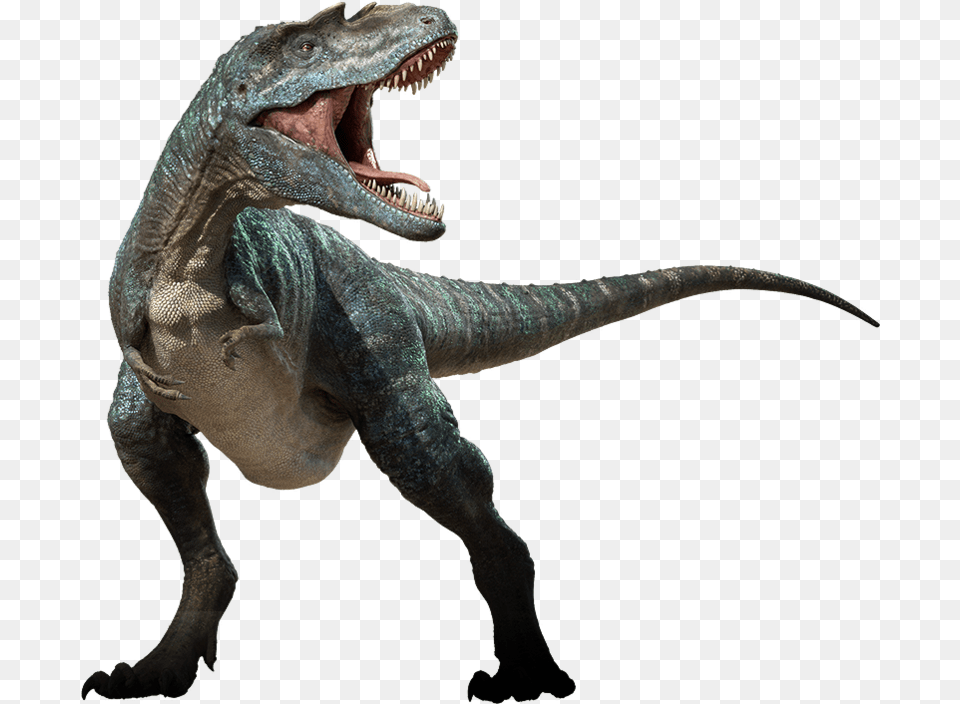 Dinosaur Transparent Picture Gorgosaurus Walking With Dinosaurs, Animal, Reptile, T-rex Free Png Download