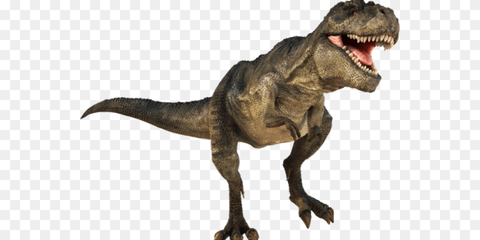 Dinosaur Transparent T Rex Dinosaur, Animal, Reptile, T-rex Free Png