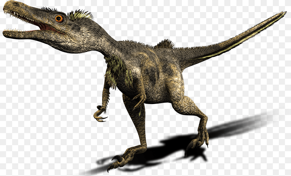 Dinosaur Vector Background Tiranossauro Rex Vs Velociraptor, Animal, Reptile, T-rex Png Image
