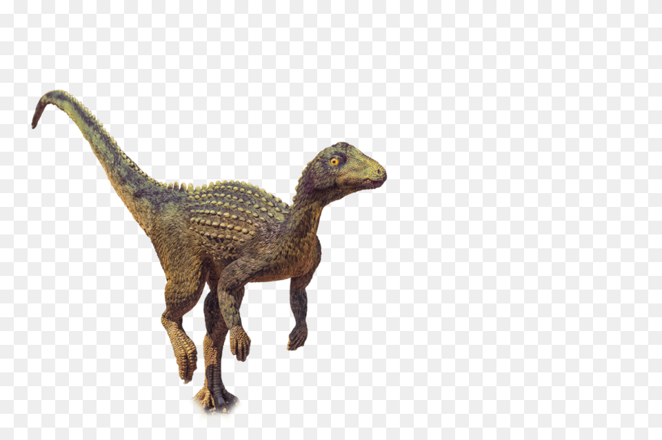 Dinosaur Vector Vector Clipart, Animal, Reptile, T-rex Png Image