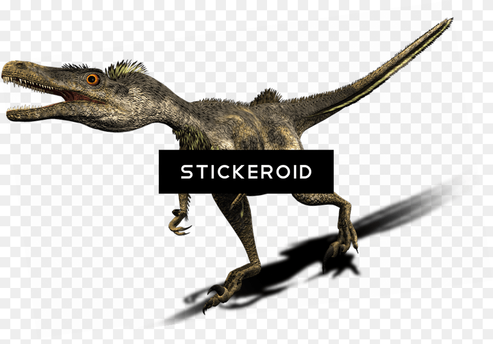 Dinosaur Velociraptor, Animal, Reptile, T-rex Free Png Download