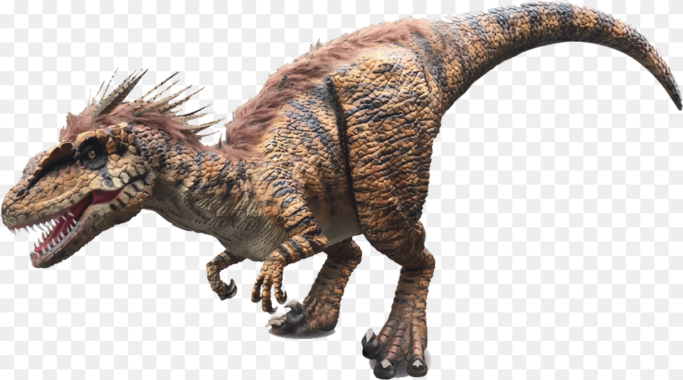 Dinosaur Velociraptor Dilophosaurus Transparent Background Dinosaur Transparent, Animal, Reptile, T-rex Free Png