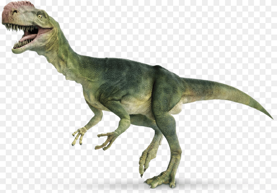 Dinosaur White Background Hd, Animal, Reptile, T-rex Free Png