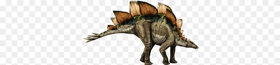 Dinosaur With Weapon Tail, Animal, Reptile Free Transparent Png