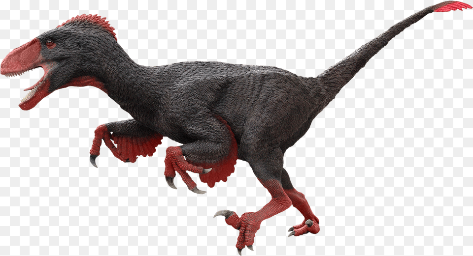 Dinosauranimal Animalextinctionclaw Utahraptor, Animal, Dinosaur, Reptile, T-rex Free Png Download