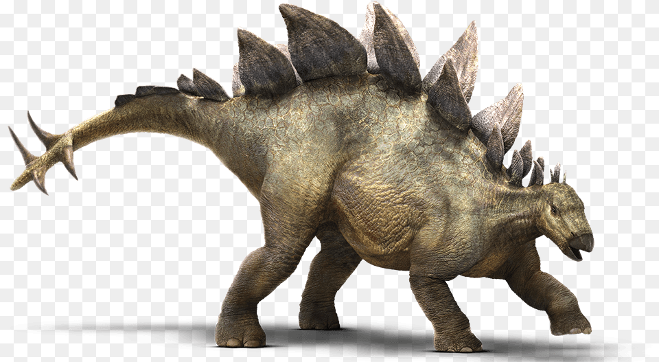 Dinosaurios Animados Stegosaurus Jurassic World Stegosaurus, Animal, Dinosaur, Reptile Png Image