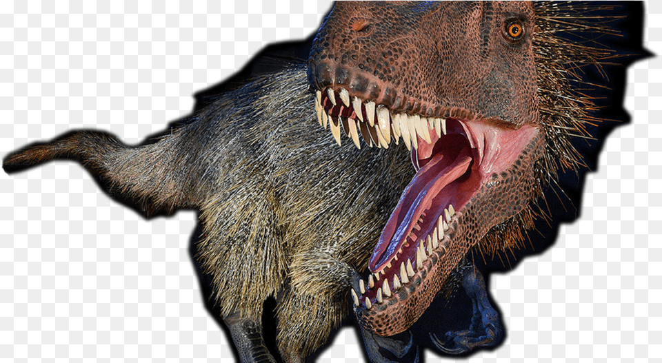 Dinosaurs, Animal, Dinosaur, Reptile, T-rex Free Transparent Png