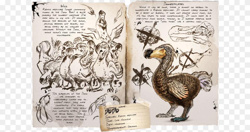 Dinosaurs Ark Survival, Animal, Bird, Dodo, Beak Png Image
