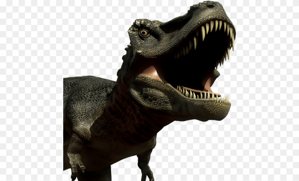 Dinosaurs Fathead Do T Rexs Have Lips, Animal, Dinosaur, Reptile, T-rex Png