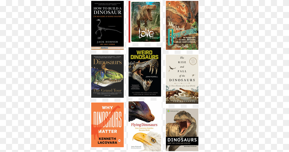 Dinosaurs For Adults My Beloved Brontosaurus By Brian Switek, Book, Publication, Advertisement, Poster Free Png Download