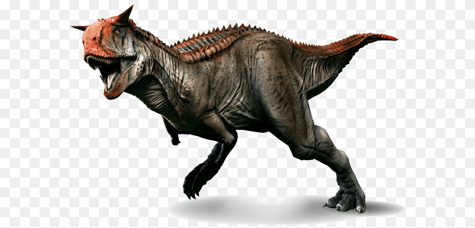 Dinosaurs Hd Dinosaur That Looks Like T Rex With Horns, Animal, Reptile, T-rex Png Image