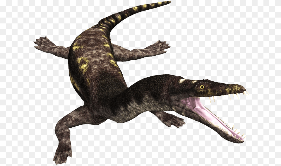 Dinosaurs Nothosaurus, Animal, Dinosaur, Reptile, Crocodile Free Png Download