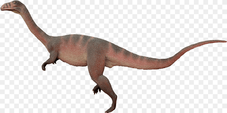 Dinosaurs Of Triassic Period Sellosaurus, Animal, Dinosaur, Reptile, T-rex Free Png