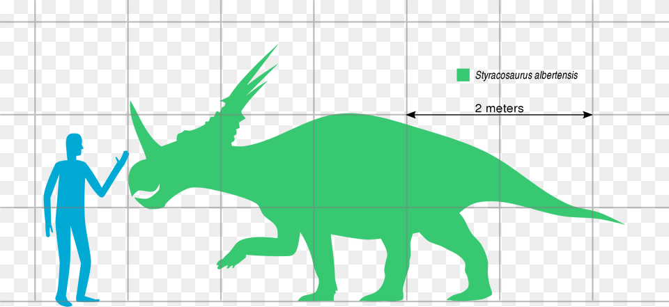 Dinosaurs Svg Triceratops Styracosaurus Compared To Human, Male, Adult, Person, Man Png