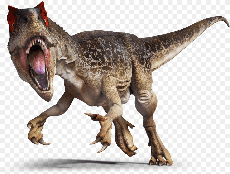 Dinosaurs Transparent Allosaurus, Animal, Dinosaur, Reptile, T-rex Png
