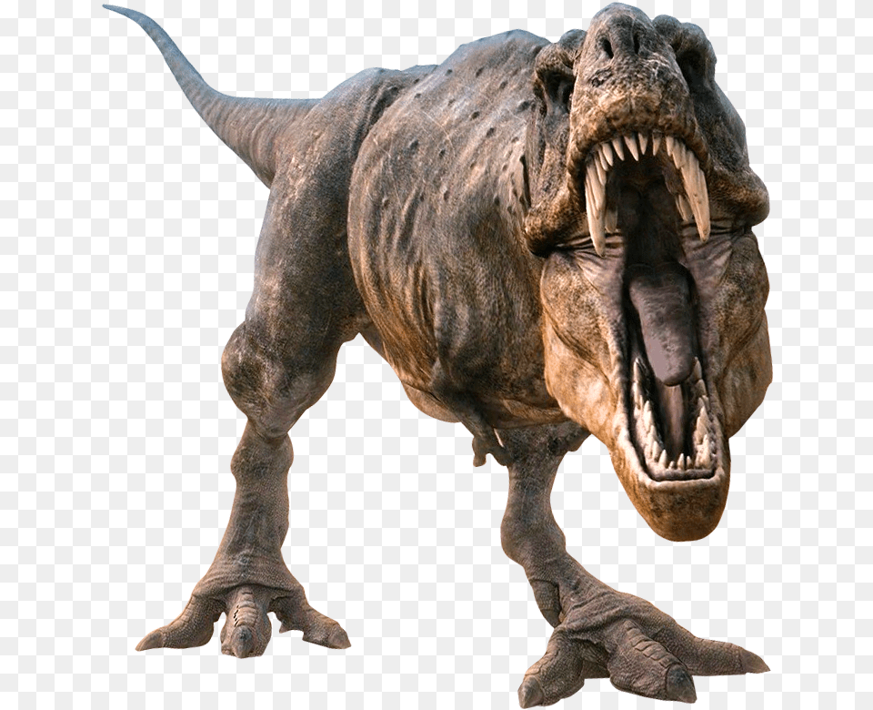 Dinosaurs Transparent Background T Rex Transparent, Animal, Dinosaur, Reptile, T-rex Png Image