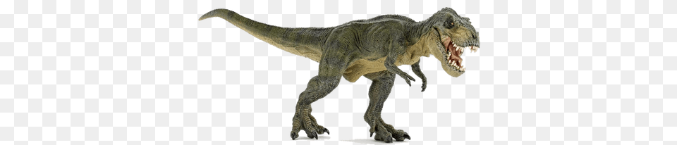 Dinosaurs Transparent Green Tyrannosaurus Rex Toy, Animal, Dinosaur, Reptile, T-rex Png