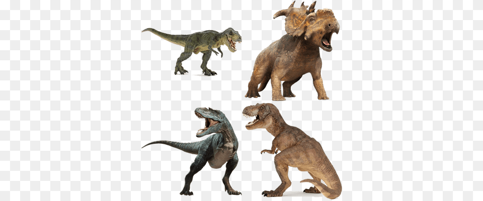 Dinosaurs Transparent Images Colour Is At Rex, Animal, T-rex, Dinosaur, Reptile Free Png Download