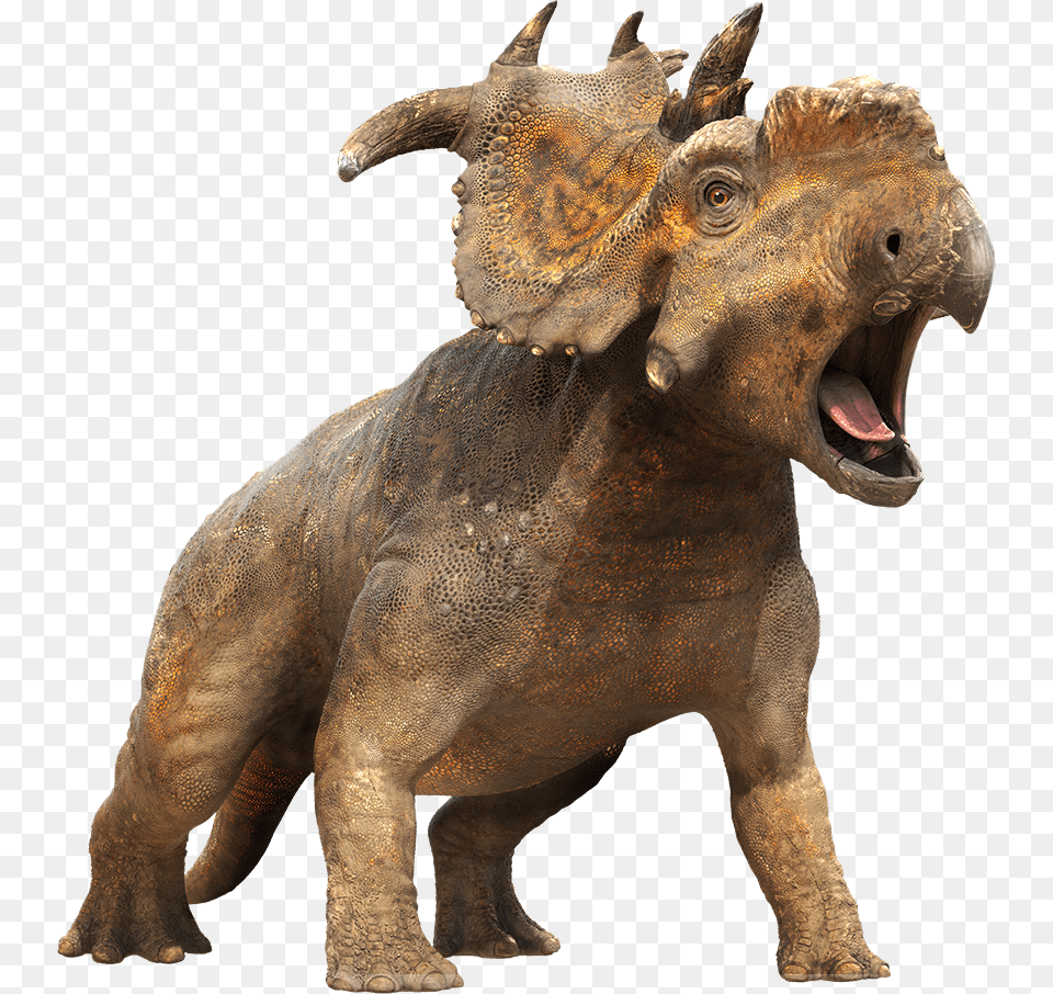 Dinosaurs Transparent Images Walk With Dinosaur Pachyrhinosaurus, Animal, Reptile Png Image