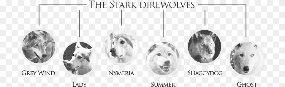 Dire Wolves Were Real And Much Scarier Game Of Thrones Wolves Names, Ct Scan, Animal, Mammal, Dog Free Png Download