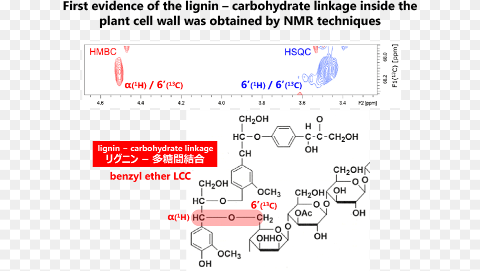 Direct Evidence For Ether Linkage Diagram, Chart, Plot Png